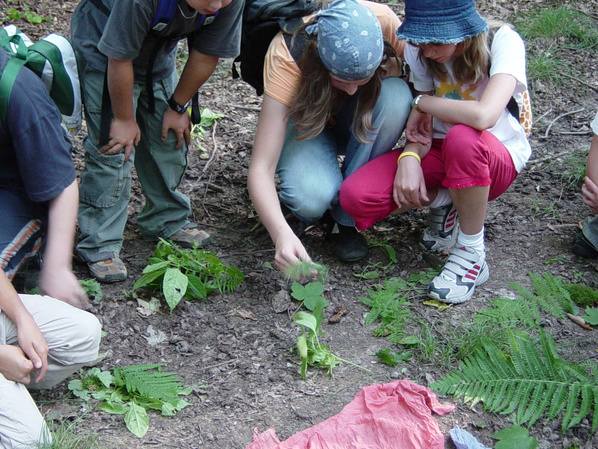 Waldpädagogik Waldpädagogik