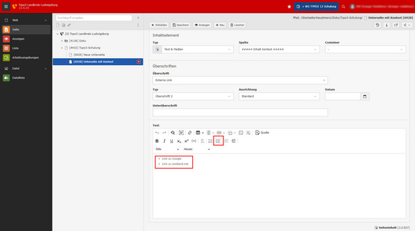 Screenshot einer Benutzeroberfläche eines Programms mit einer Liste von Seiten und Textfeldern. Der Bereich zeigt Links zu Google und zur Website SWK3 sowie Optionen zur Textbearbeitung.