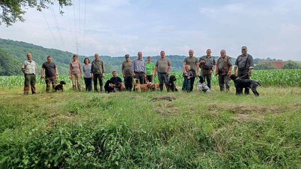 A group of fifteen people stands together in a field with several dogs. They are dressed in casual outdoor clothing and appear engaged in a gathering. The background features green hills and crops under a cloudy sky.