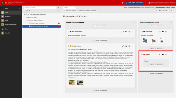 Die Abbildung zeigt eine Benutzeroberfläche eines Content-Management-Systems mit dem Titel "Unterseite mit Kontext". Es gibt verschiedene Abschnitte wie "Neue Übersicht" und "Text und Medien", sowie ein hervorgehobenes Feld für "Projekte", in dem Inhalte verwaltet werden.
