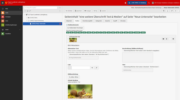 Screenshot einer TYPO3-Administrationsoberfläche. Links sind Menüelemente zur Seitenanzeige und Dateiverwaltung sichtbar. Im Hauptbereich sind Felder für Metadaten mit Titel, Alternativtext, Link und Beschreibung zu sehen. Die Benutzeroberfläche ist in einem hellen Farbschema gestaltet.