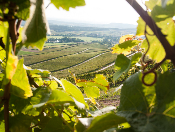 Stromberg / Foto: LRA Ludwigsburg Stromberg / Foto: LRA Ludwigsburg