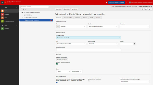 Der Screenshot zeigt die Benutzeroberfläche von Typo3. Im Fokus steht die Erstellung von Seitenelementen mit Optionen für Überschriften, Typ und Link. Die Struktur umfasst verschiedene Menüpunkte zur Bearbeitung und Anpassung von Inhalten auf der Seite "Dringen notwendig".
