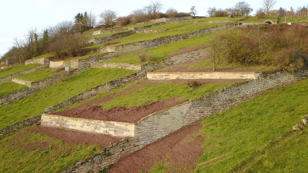 The image depicts terraced hillsides with stone retaining walls, showcasing a series of flat plots on a grassy slope. The landscape features an array of greenery and some sparse trees, illustrating a vineyard or agricultural area designed for planting on uneven terrain.