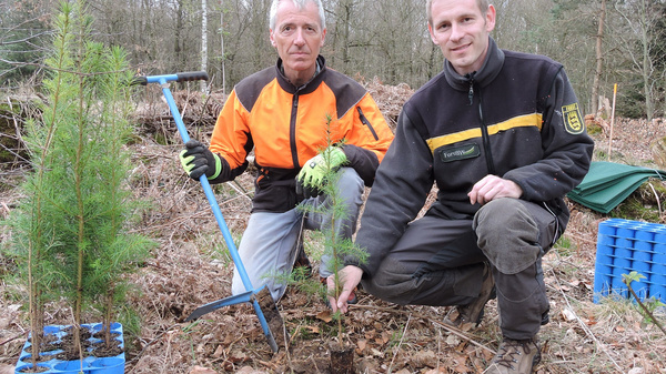 Two individuals are planting young trees in a forested area. One person holds a planting tool while the other gestures towards a newly planted seedling. Surrounding them are small seedlings in blue containers. The scene emphasizes reforestation efforts and teamwork in nature.