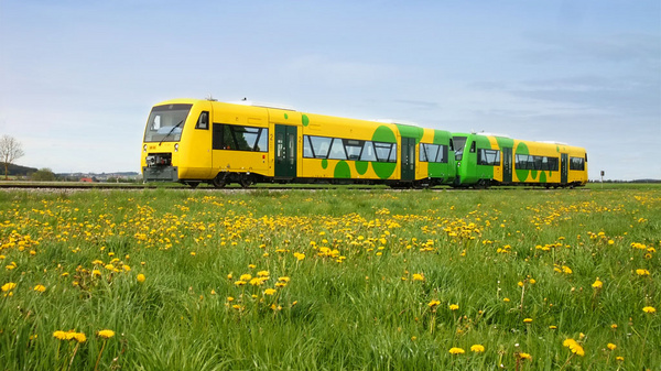 A brightly colored yellow and green train is traveling along a track surrounded by lush grass and blooming dandelions, under a cloudy sky. The train features large windows and a modern design, emphasizing its vibrant colors in the natural landscape.