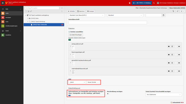 Screenshot der TYPO3-Oberfläche, die Informationen zur Dateiverwaltung zeigt. Links befindet sich eine Navigation mit verschiedenen Optionen, während rechts ein Bereich zur Dateiansicht und -bearbeitung angezeigt wird. Ein Suchfeld und Parameter für die Dateisortierung sind ebenfalls sichtbar.