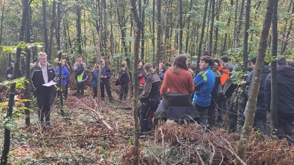 Eine Gruppe von Menschen steht in einem Wald. Im Vordergrund spricht eine Person, während die anderen zuhören. Um sie herum sind Bäume und Sträucher zu sehen. Die Szene vermittelt eine Atmosphäre der Naturverbundenheit und des gemeinsamen Lernens.