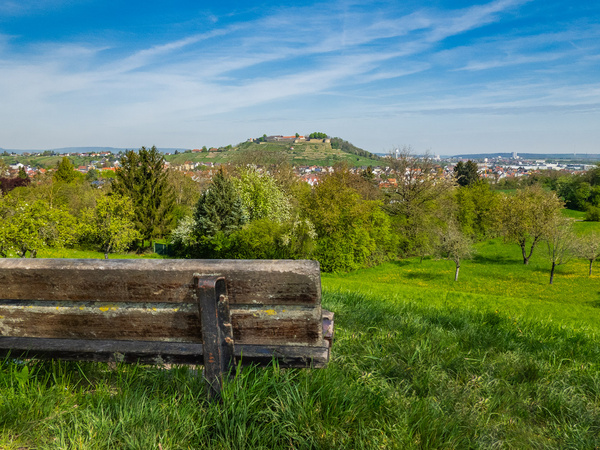 Ein Blick auf eine grüne Landschaft mit einem Holzbank im Vordergrund. Im Hintergrund erhebt sich sanft ein Hügel, umgeben von Bäumen und Sträuchern. Der Himmel ist blau mit einigen Wolken, was eine ruhige, friedliche Atmosphäre schafft.
