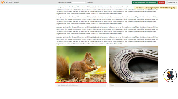 Das Bild zeigt drei verschiedene Tiere: ein Chamäleon, eine Eidechse und ein Erdmännchen. Jedes Tier ist in einem separaten Bereich abgebildet, um deren Eigenschaften und Erscheinungen hervorzuheben. Die Farben und Texturen der Tiere sind deutlich zu erkennen.