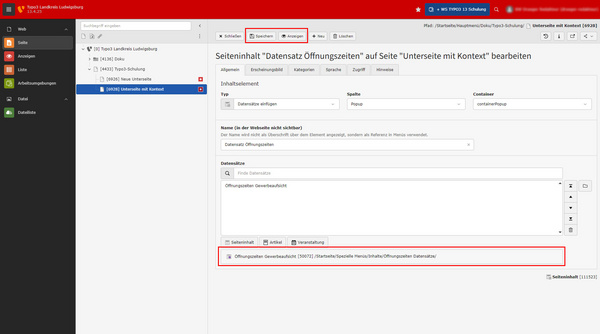 Screenshot einer Benutzeroberfläche zur Bearbeitung von Seitendaten. Es zeigt die Sektion "Öffnungszeiten" mit Feldern für Titel, Container und Details. Der Fokus liegt auf dem Eingabefeld für "Öffnungszeiten allgemein". Oben sind Navigations- und Aktionsschaltflächen sichtbar.