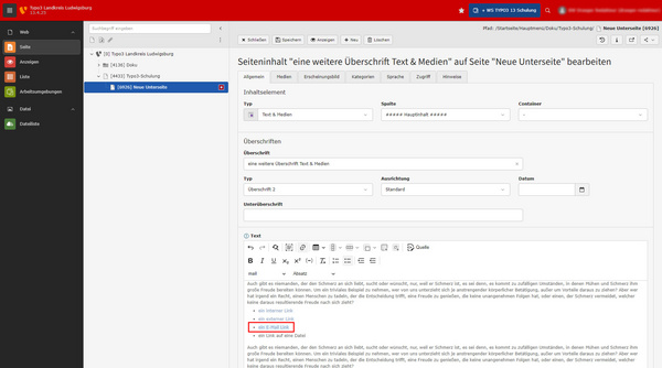 Screenshot einer TYPO3-Backend-Oberfläche mit einem offenen Texteditor. Der Benutzer erstellt oder bearbeitet Inhalte, einschließlich einer Überschrift und Text. Links erscheinen Menüpunkte für die Webseitenverwaltung. Das Layout zeigt Bereiche für Webseiteninhalte und Anpassungen.