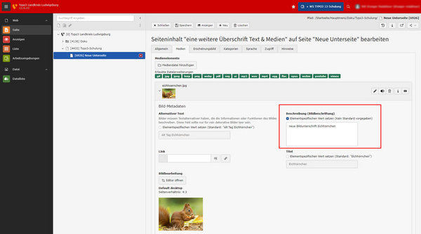 Das Bild zeigt eine Benutzeroberfläche des TYPO3 Content-Management-Systems, die mehrere Optionen zur Bearbeitung von Metadaten und Bildinformationen enthält. Links sind verschiedene Menüelemente aufgelistet, darunter Seiten- und Dateiverwaltung. In der Mitte befindet sich ein Eingabebereich für Bildtitel und Beschreibung.