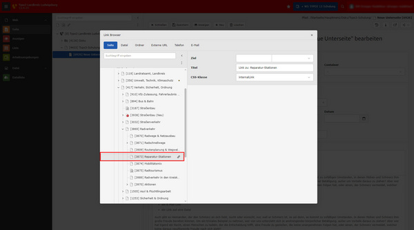 Ein Screenshot eines Link-Browsers in der Typo3-Software. Das Fenster zeigt verschiedene Optionen, um einen Link zu erstellen, einschließlich Zielseite, Titel und CSS-Klasse. Auf der linken Seite befindet sich ein Inhaltsbaum mit unterschiedlichen Elementen.