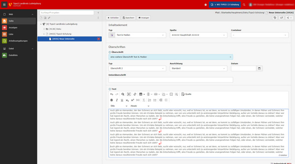 Ein Bildschirm zeigt eine Benutzeroberfläche eines Content-Management-Systems. Auf der linken Seite sind Menüoptionen sichtbar, darunter "Seiten", "Anzeigen" und "Dateien". Rechts ist ein Textfeld zu sehen, in dem ein längerer Text bearbeitet wird. Der Fokus liegt auf der Textbearbeitung.
