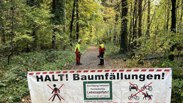 Ein großes Banner in einem Wald weist darauf hin, dass der Bereich wegen Baumfällungen gesperrt ist. Darunter stehen Warnhinweise vor Lebensgefahr. Zwei Personen in Schutzkleidung stehen in der Nähe des Banners und sind bereit für Arbeiten im Wald.