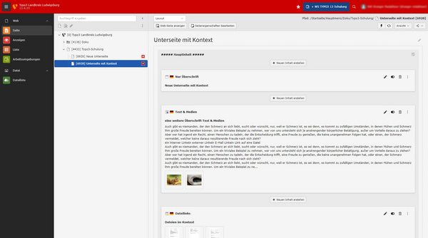 Screenshot eines Benutzerinterfaces mit der Überschrift "Unterseite mit Kontext". Links befindet sich eine Navigationsleiste mit verschiedenen Kategorien. Rechts ist ein Bereich, der Optionen für die Bearbeitung einer Unterseite zeigt. Ein roter Bereich hebt die Schaltfläche "neuer Bildschirm" hervor.