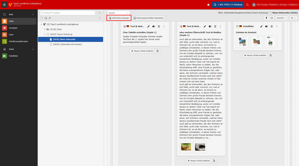 Die Abbildung zeigt eine Benutzeroberfläche mit einer Menüleiste auf der linken Seite. Dazu gehören Dokumente und Optionen für die Anzeige von Dateien. Rechts ist ein Textbereich zu sehen, der Informationen und Bilder enthält. Oben befindet sich ein Hinweis auf die Funktion "Datei einfügen".