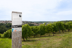 Wein-Lese-Weg Wein-Lese-Weg