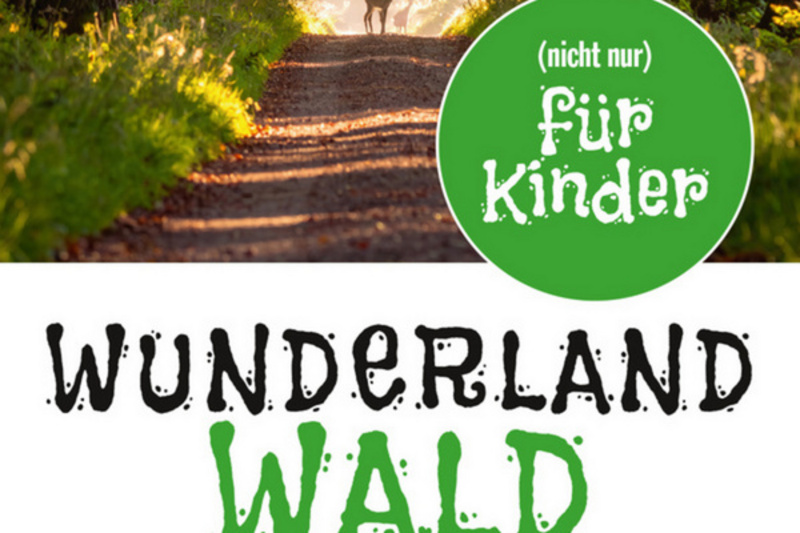 Ein Wald mit Sonnenstrahlen, die durch die Bäume scheinen. Im Vordergrund steht eine Person auf einem Weg. Der Text kündigt eine Veranstaltung namens "Wunderland Wald" an, die Kindern und Familien am 4. November 2026 besondere Infos und Spiele bietet. (Text KI generiert)