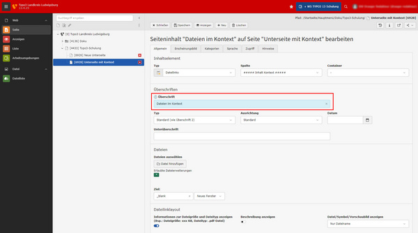 Screenshot einer Benutzeroberfläche zur Erstellung von Seiteninhalten in einem Verwaltungssystem. Es sind Optionen für Überschriften, Typen und Dateianhänge sichtbar, mit Feldern für die Eingabe von Informationen. Der Hauptfokus liegt auf dem Abschnitt zur Erstellung des Inhalts mit dem Titel "Dringen notwendig".