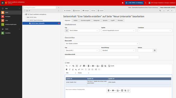 Das Bild zeigt ein Bearbeitungsfenster für eine Tabelle auf einer Webseite. Es enthält Optionen zur Eingabe von Text, Auswahl eines Typs und zum Festlegen von Eigenschaften. Der Titel der Bearbeitung lautet "Eine Tabelle erstellen" und es sind Felder für Überschriften und Daten sichtbar.