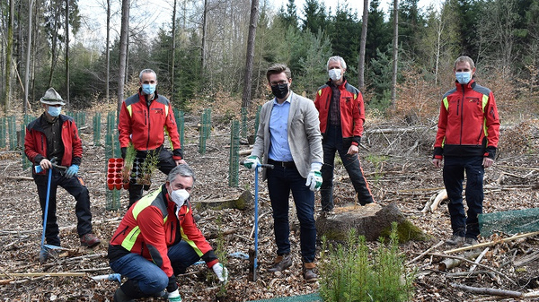 Six people, wearing masks and work attire, are engaged in tree planting in a forested area. They are positioned around young saplings, holding tools. Trees and natural surroundings are visible in the background, indicating an environmental conservation effort.