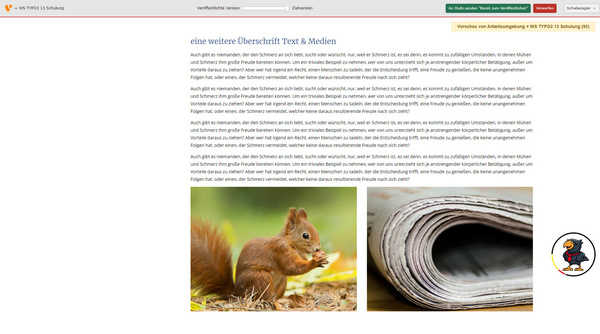 Die Abbildung zeigt verschiedene Tiere: ein Chamäleon, eine Schlange und ein Erdmännchen. Diese unterschiedlichen Arten repräsentieren das Thema der Vielfalt und Besonderheit in der Tierwelt, wobei jedes Tier seine eigene einzigartige Anpassung und Lebensweise hat.