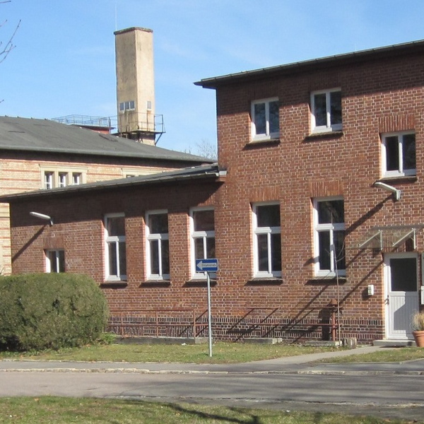 Bereichsbild für Seite: Veterinary services