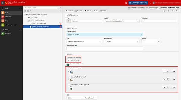 Eine Dateiverwaltungsschnittstelle zeigt verschiedene Dokumente wie PDF-Dateien an. Der Benutzer kann eine Datei auswählen, um Details anzuzeigen oder sie herunterzuladen. Auf der linken Seite sind die Dateikategorien und Links zu weiteren Funktionen sichtbar.