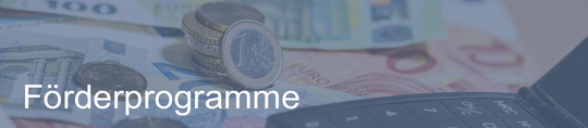 Verschiedene Geldscheine und Münzen liegen auf einem Tisch, neben einem Taschenrechner. Der Begriff "Förderprogramme" ist prominent dargestellt. (Text KI generiert)