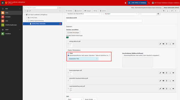 Das Bild zeigt die Benutzeroberfläche eines TYPO3-Redaktionssystems. Auf der linken Seite befindet sich eine Navigationsleiste mit verschiedenen Seiten und Dateien. Rechts werden Dateiinformationen bearbeitet, einschließlich Titel und Beschreibung eines Dokuments mit dem Namen „Merkblatt zum Flyer“.