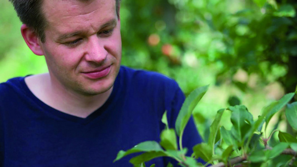 Ein Mann steht an einem Apfelbaum und betrachtet die reifen Äpfel. Er hält einen Ast mit mehreren Äpfeln in der Hand. Die Umgebung ist grün und zeigt die Natur des Apfelgartens.