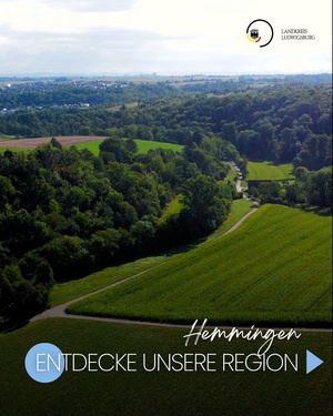 Entdecke unsere Region - 4 Landschaftsaufnahme mit grünen Feldern und Wäldern in Hemmingen. Im Vordergrund verlaufen Wege durch die Natur. Oben links ist ein Logo des Landkreises Ludwigsburg zu sehen, begleitet von der Einladung "Entdecke unsere Region". (Text KI generiert)