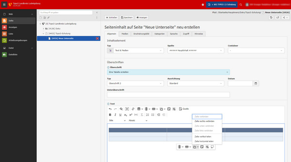 Ein Bildschirm zeigt eine Benutzeroberfläche zur Erstellung eines neuen Untertitels auf einer Seite. Es gibt Eingabefelder für Titel, Typ und Beschreibung sowie Werkzeugoptionen zum Bearbeiten von Text innerhalb eines grafischen Editors. Links sind Menüoptionen sichtbar, die verschiedene Funktionen anbieten.