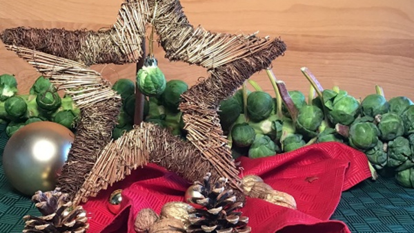 Une étoile décorative en brindilles repose sur une nappe verte. En arrière-plan, des choux de Bruxelles et des pommes de pin ajoutent une touche naturelle. Cet arrangement évoque une ambiance festive, idéale pour les décorations de Noël. Une boule dorée complète l'ensemble.