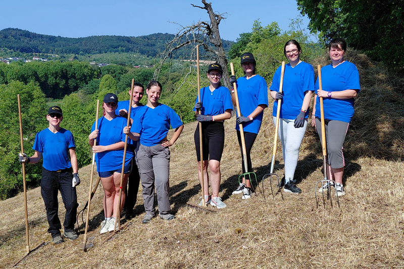 Eine Gruppe von acht Personen in blauen T-Shirts steht auf einem Hang, umgeben von Bäumen und Hügeln. Sie halten verschiedene Gartenwerkzeuge, darunter Rechen und Schaufeln. Die Stimmung ist freundlich und gemeinschaftlich. (Text KI generiert)