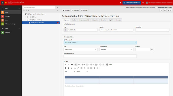 Die Abbildung zeigt ein Bearbeitungsfenster für eine neue Unterseite in einer Software. Links sind Menüoptionen sichtbar, während im Hauptbereich Felder für den Titel, die Beschreibung und den Textinhalt angezeigt werden. Die Struktur ist übersichtlich und ermöglicht das Erstellen von Inhaltsseiten.