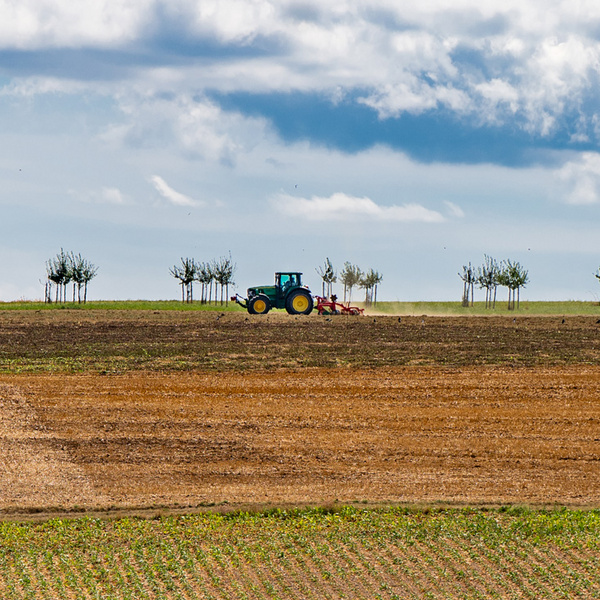 Bereichsbild für Seite: Landwirtschaft und Ernährung