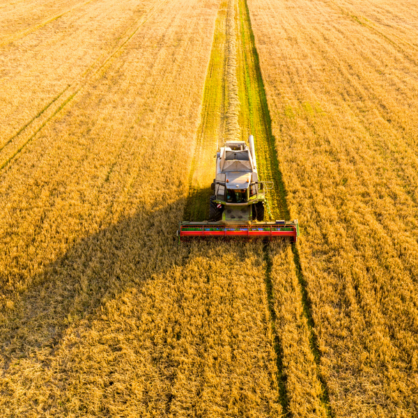 Event Teaserbild: Arable farming evening