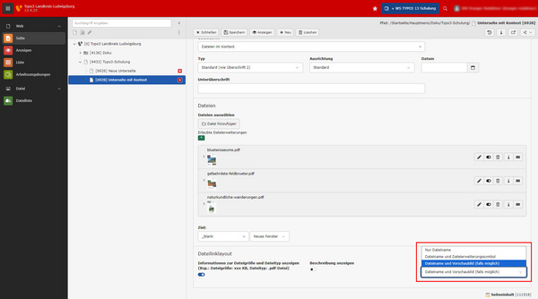 Screenshot einer Benutzeroberfläche zur Dateiverwaltung. Auf der linken Seite sind verschiedene Menüoptionen wie "Seiten" und "Dateien" angezeigt. Im Hauptbereich werden Optionen zur Auswahl und Sortierung von Dateien dargestellt sowie ein Eingabefeld für die Dateiabgabe.
