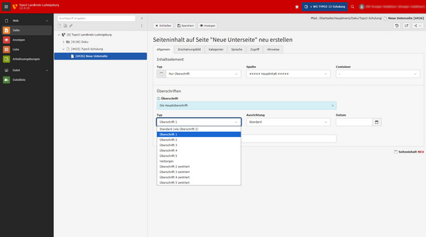 A web interface for creating content titled "Dringen notwendig" within Typo3. The page includes sections for setting the type, title, and additional options, such as settings for headings and links. The layout features a sidebar for navigation and an area for editing content.