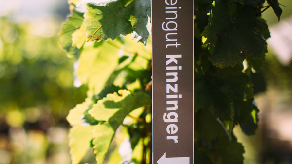 Ein Schild mit der Aufschrift „Weingut Kinzinger“ zeigt in einem Weinberg die Richtung an. Um das Schild herum wachsen grüne Weinreben. Die Szene vermittelt eine ländliche, idyllische Atmosphäre.