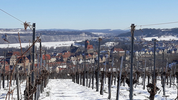 Ein Blick über verschneite Weinreben zu einem Dorf im Hintergrund. Die Weinfelder sind mit Schnee bedeckt, und im Hintergrund sind Häuser und eine Kirchturm sichtbar, umgeben von einer winterlichen Landschaft. Der Himmel ist klar und blau.
