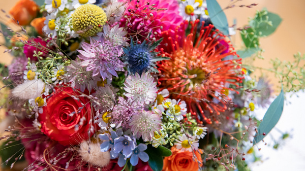 Un bouquet coloré de fleurs variées, comprenant des roses rouges, des dahlia, des marguerites et d'autres espèces florales. Les teintes vives et les textures différentes créent une composition harmonieuse et joyeuse, parfaite pour célébrer une occasion spéciale.