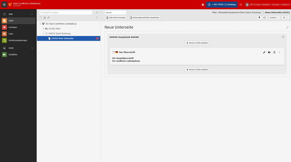 Screenshot einer Benutzeroberfläche mit dem Titel "Neue Unterseite". Links befindet sich eine Navigationsleiste mit verschiedenen Optionen. Auf der rechten Seite werden Felder zum Hinzufügen und Bearbeiten eines neuen Eintrags angezeigt. Das Design ist schlicht und funktional.