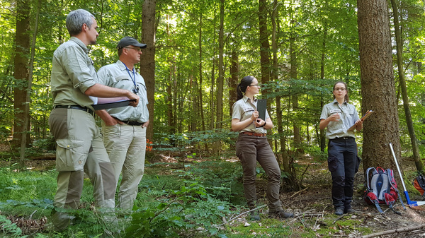A group of four individuals stands in a lush forest, engaged in a discussion. One person is presenting information while others listen attentively, holding notebooks and pens. The environment is filled with green foliage, creating a serene outdoor setting for their activity.