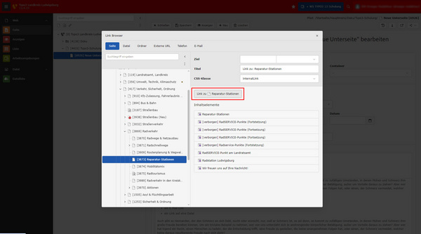 Screenshot einer Benutzeroberfläche von Typo3, die verschiedene Menüpunkte und ein Textfeld zur Eingabe enthält. Der Textbereich beschreibt Herausforderungen und Schmerzen im Leben, während Links zu weiteren Inhalten bereitgestellt werden.