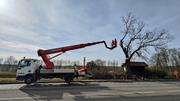 A service truck with an extended aerial lift is positioned beside a tree. Two workers in the lift are removing branches. A pile of cut branches lies on the ground near a small shed, and a clear sky provides the backdrop to the scene.
