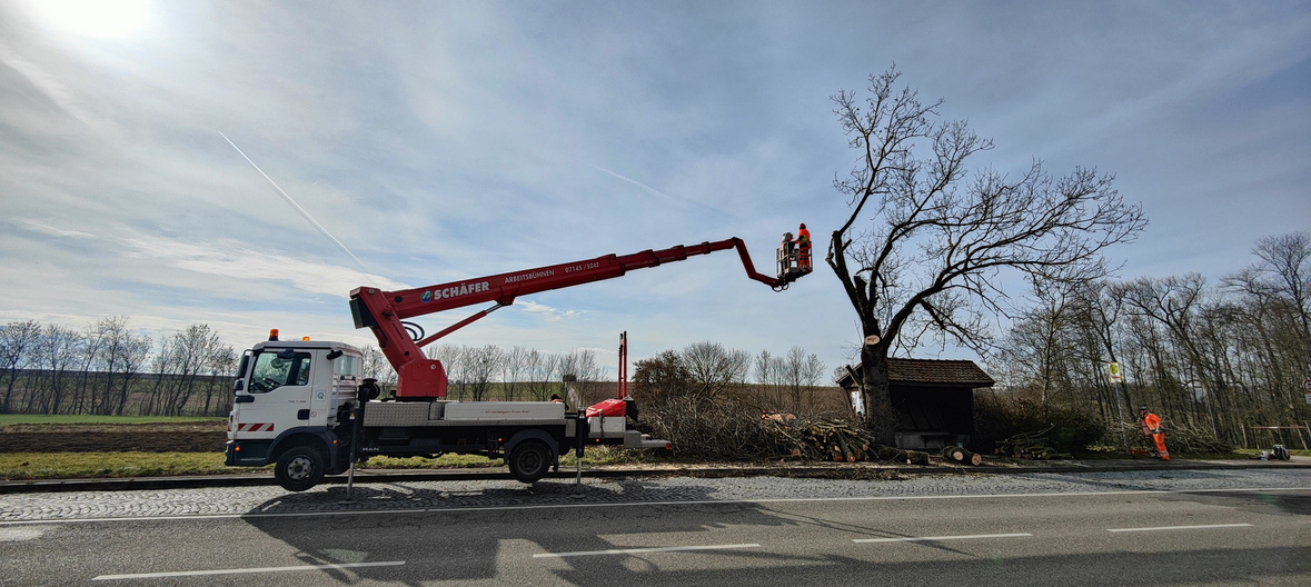 Ein Arbeitsfahrzeug mit einem Kranarm steht an einer Straße. Zwei Arbeiter befinden sich in der Luft, während sie an einem Baum arbeiten, der möglicherweise beschnitten wird. Im Hintergrund sind kahle Bäume und eine einfache Holzstruktur zu sehen.